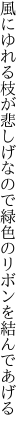 風にゆれる枝が悲しげなので 緑色のリボンを結んであげる