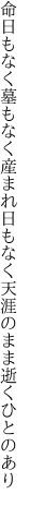 命日もなく墓もなく産まれ日も なく天涯のまま逝くひとのあり