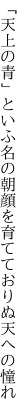 「天上の青」といふ名の朝顔を 育てておりぬ天への憧れ