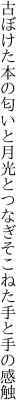 古ぼけた本の匂いと月光と つなぎそこねた手と手の感触