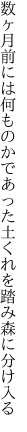 数ヶ月前には何ものかであった 土くれを踏み森に分け入る