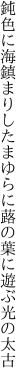 鈍色に海鎮まりしたまゆらに 蕗の葉に遊ぶ光の太古