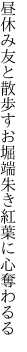 昼休み友と散歩すお堀端 朱き紅葉に心奪わるる