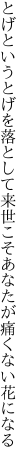 とげというとげを落として来世こそ あなたが痛くない花になる