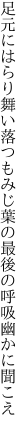 足元にはらり舞い落つもみじ葉の 最後の呼吸幽かに聞こえ