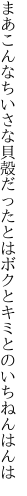 まあこんなちいさな貝殻だったとは ボクとキミとのいちねんはんは