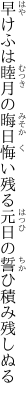 早けふは睦月の晦日悔い残る 元日の誓ひ積み残しぬる