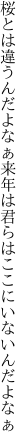 桜とは違うんだよなぁ 来年は君らはここにいないんだよなぁ