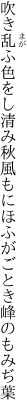 吹き乱ふ色をし清み秋風も にほふがごとき峰のもみぢ葉