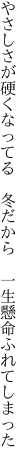 やさしさが硬くなってる　冬だから　 一生懸命ふれてしまった