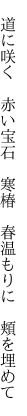  道に咲く 赤い宝石 寒椿  春温もりに 頬を埋めて