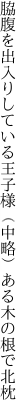 脇腹を出入りしている王子様 （中略）ある木の根で北枕