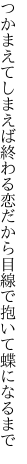 つかまえてしまえば終わる恋だから 目線で抱いて蝶になるまで