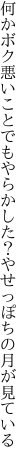 何かボク悪いことでもやらかした？ やせっぽちの月が見ている