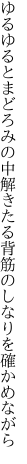 ゆるゆるとまどろみの中解きたる 背筋のしなりを確かめながら