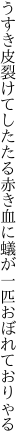 うすき皮裂けてしたたる赤き血に 蟻が一匹おぼれておりゃる