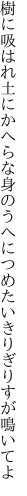 樹に吸はれ土にかへらな身のうへに つめたいきりぎりすが鳴いてよ