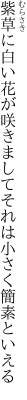 紫草に白い花が咲きまして それは小さく簡素といえる