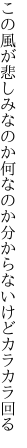 この風が悲しみなのか何なのか 分からないけどカラカラ回る