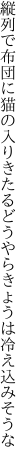 縦列で布団に猫の入りきたる どうやらきょうは冷え込みそうな