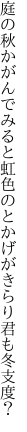 庭の秋かがんでみると虹色の とかげがきらり君も冬支度？