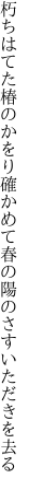 朽ちはてた椿のかをり確かめて 春の陽のさすいただきを去る