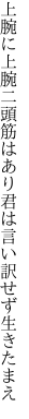 上腕に上腕二頭筋はあり 君は言い訳せず生きたまえ