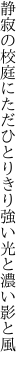 静寂の校庭にただひとりきり 強い光と濃い影と風