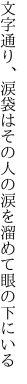 文字通り、涙袋はその人の 涙を溜めて眼の下にいる