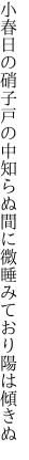 小春日の硝子戸の中知らぬ間に 微睡みており陽は傾きぬ