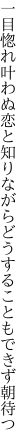 一目惚れ叶わぬ恋と知りながら どうすることもできず朝待つ