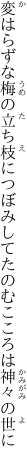 変はらずな梅の立ち枝につぼみして たのむこころは神々の世に