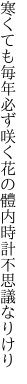寒くても毎年必ず咲く花の 體内時計不思議なりけり