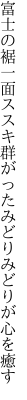 富士の裾一面ススキ群がった みどりみどりが心を癒す