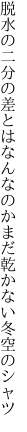 脱水の二分の差とはなんなのか まだ乾かない冬空のシャツ