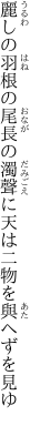 麗しの羽根の尾長の濁聲に 天は二物を與へずを見ゆ