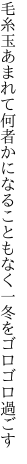 毛糸玉あまれて何者かになることもなく 一冬をゴロゴロ過ごす