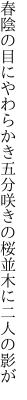 春陰の目にやわらかき五分咲きの 桜並木に二人の影が