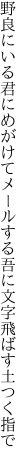 野良にいる君にめがけてメールする 吾に文字飛ばす土つく指で