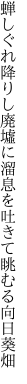 蝉しぐれ降りし廃墟に溜息を 吐きて眺むる向日葵畑