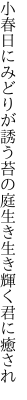 小春日にみどりが誘う苔の庭 生き生き輝く君に癒され