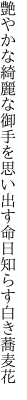 艶やかな綺麗な御手を思い出す 命日知らす白き蕎麦花