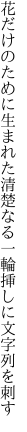 花だけのために生まれた清楚なる 一輪挿しに文字列を刺す