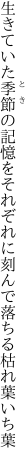 生きていた季節の記憶をそれぞれに 刻んで落ちる枯れ葉いち葉