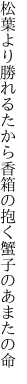 松葉より勝れるたから香箱の 抱く蟹子のあまたの命