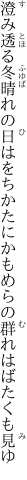 澄み透る冬晴れの日はをちかたに かもめらの群れはばたくも見ゆ