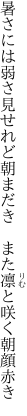 暑さには弱さ見せれど朝まだき 　また凛と咲く朝顔赤き