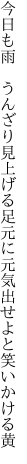 今日も雨　うんざり見上げる足元に 元気出せよと笑いかける黄