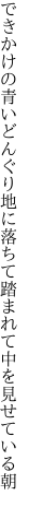 できかけの青いどんぐり地に落ちて 踏まれて中を見せている朝