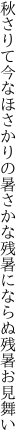 秋さりて今なほさかりの暑さかな 残暑にならぬ残暑お見舞い